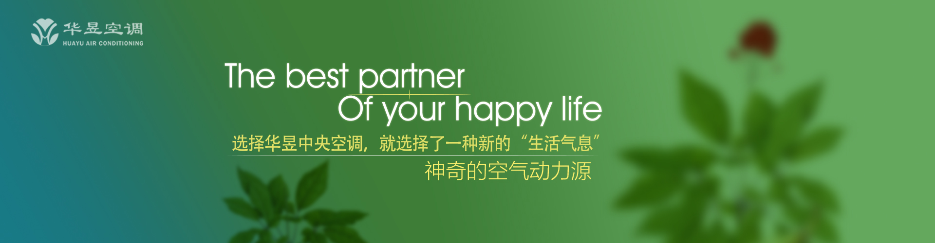 飞沙走砾网